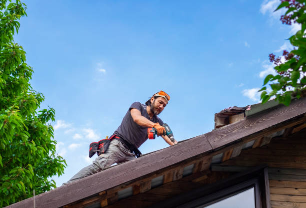 Best Roof Repair  in Brocton, NY